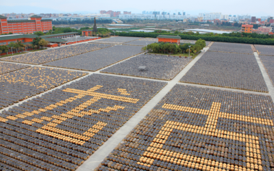 以創意賦能 展國企風貌 廈門輕工集團亮相第十七屆海峽旅游博覽會,摘取兩項大獎